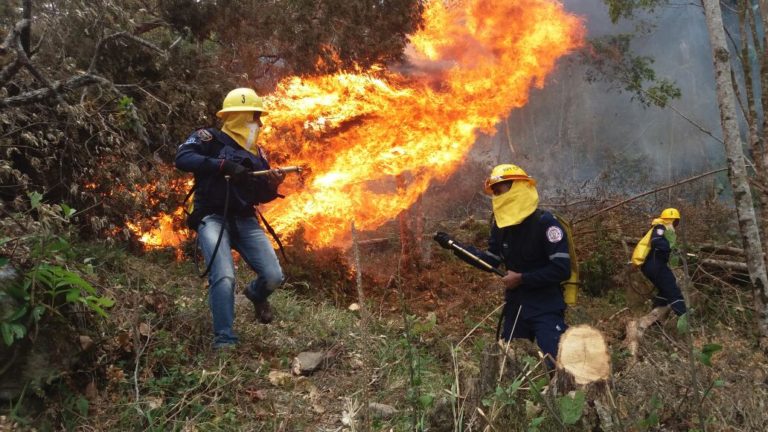 INCENDIO FORESTAL BOMBEROS