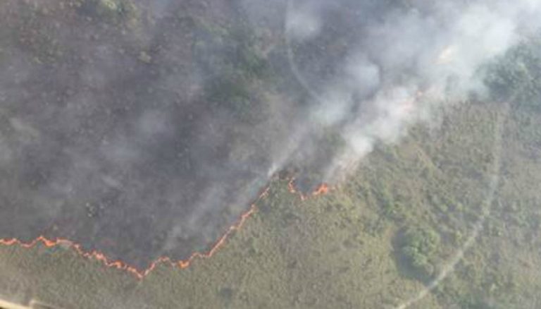 Incendio La MAcarena