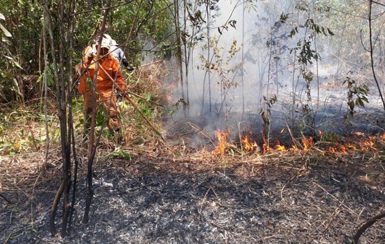 Incendio La Macarena