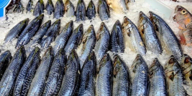 PESCADO