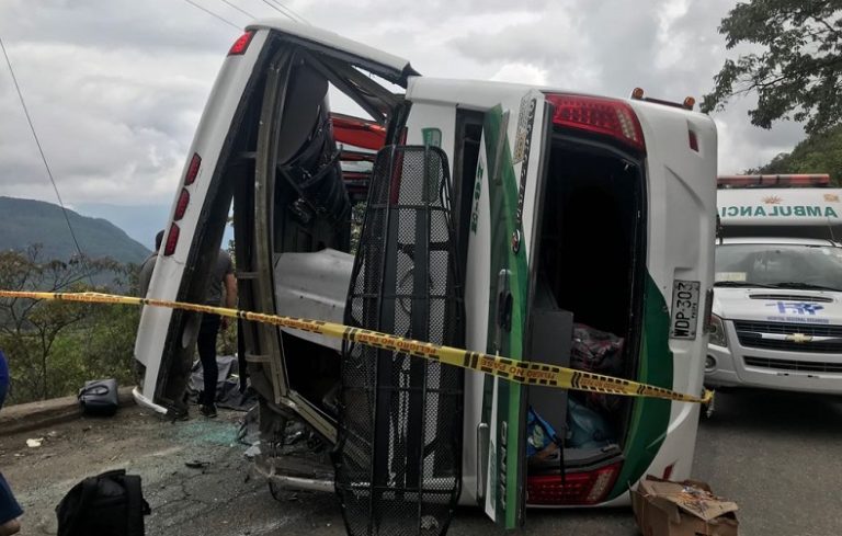 Bus Pajarito
