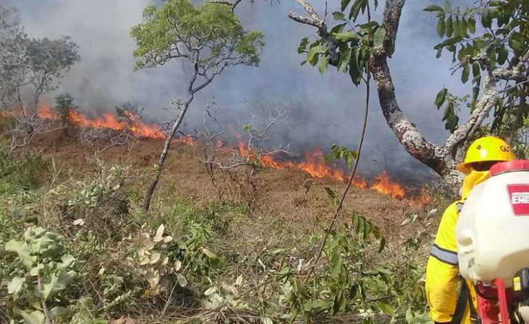 Incendio forestal