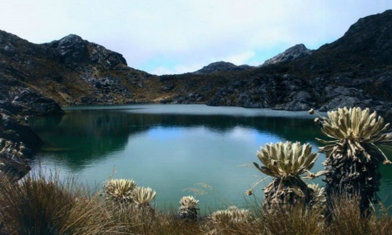 Paramo