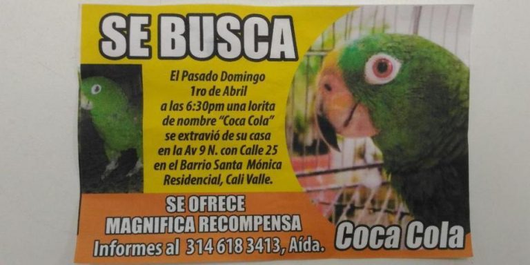 LORA COCA COLA