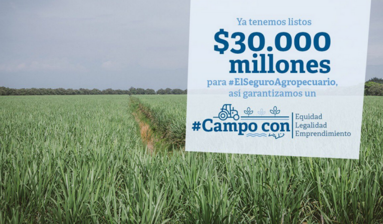 sEGURO AGROPECUAIRO
