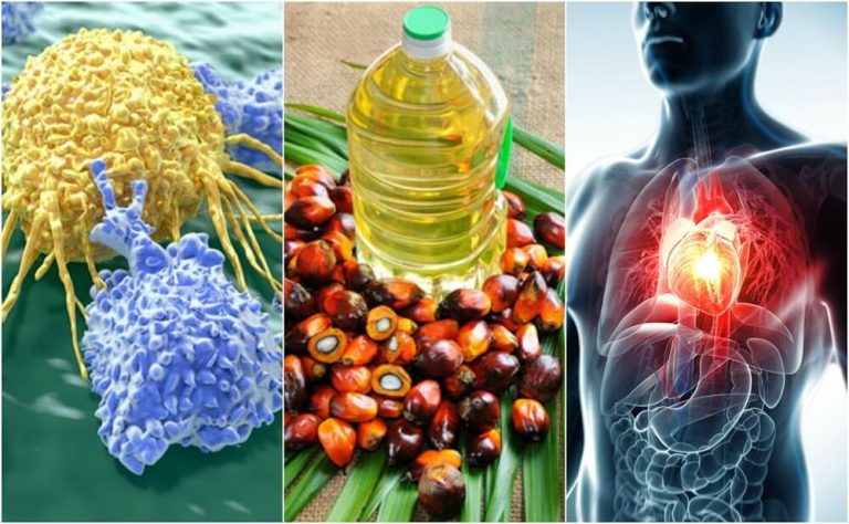 Aceite de palma, bueno para la salud