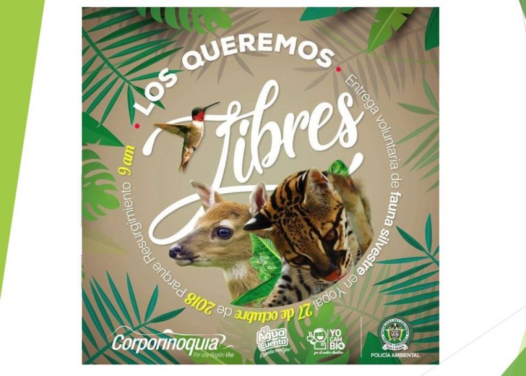 LIBRES
