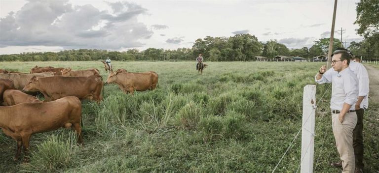 Ministro de Agricultura, revisa hatos ganaderos