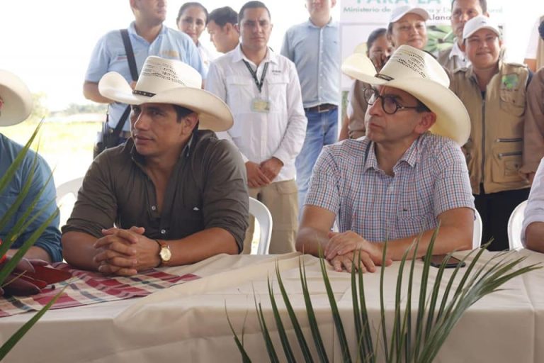 Taller