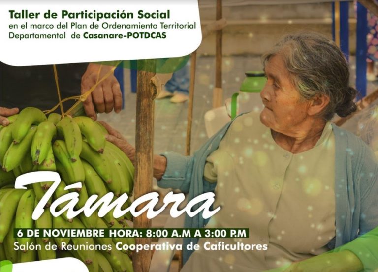 Taller Tamara