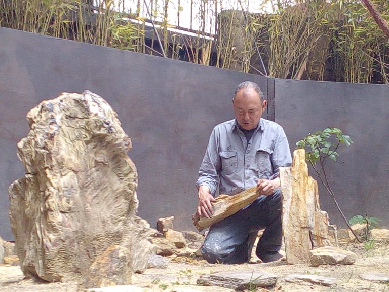 Carlos Salas Silva, artista