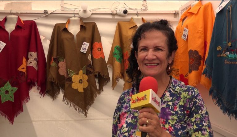 Feria microempreearial Nohora rAMIREZ