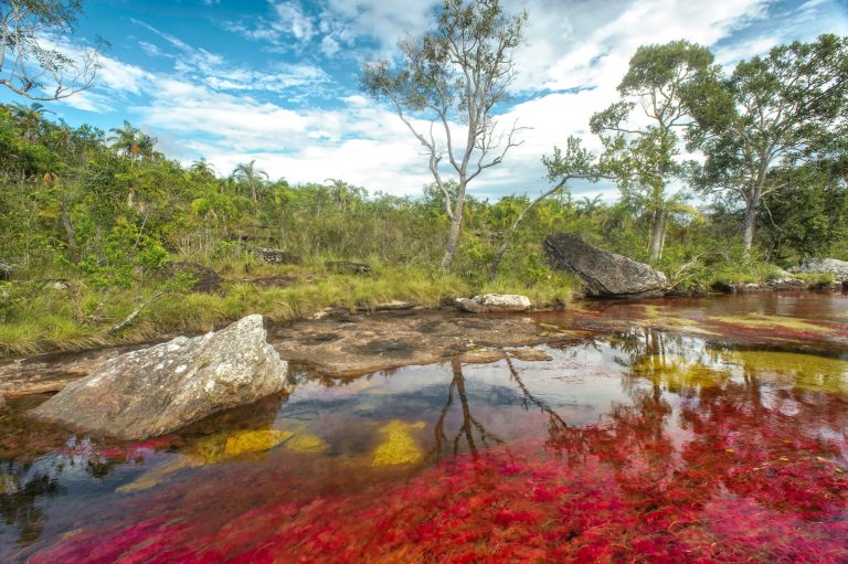 Cano-Cristales-el-Paso-de-la-Danta
