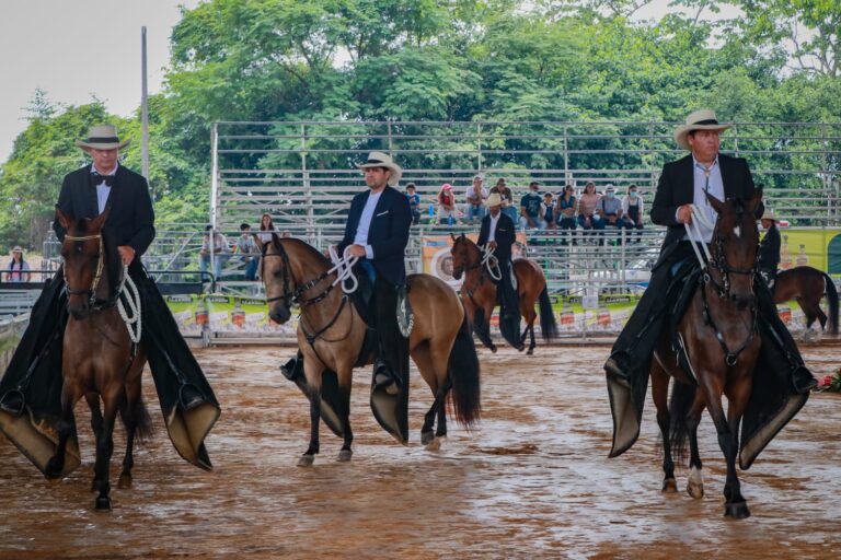 Campeonato Nacional Equino de Expomalocas 2022