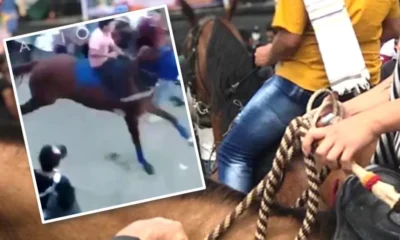 Accidente caballos san Lorenzo-Nariño Imagen: Twitter @CaracolPasto