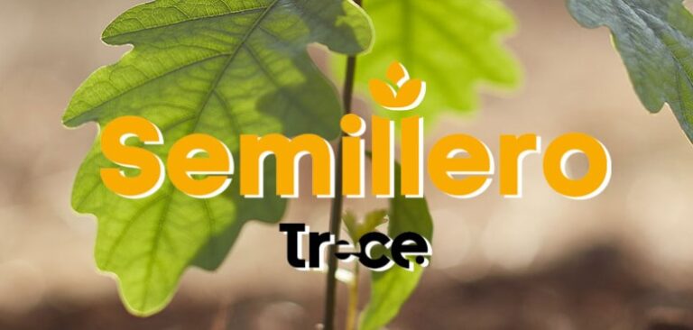 semillero trece
