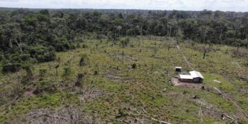Autoridades adelantan operativos para detener la deforestación en el sur del Meta