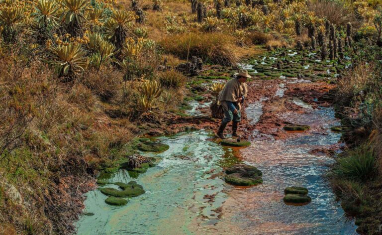 Frailejón Ernesto Pérez gana premio Fenalco Solidario Colombia 2022