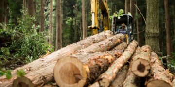 Judicializados funcionarios y particulares por arrasar con miles de hectáreas de bosque en Cundinamarca y Boyacá