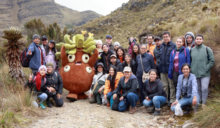 SIEMBRA FRAILEJONES 1
