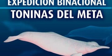 Por Venezuela y Colombia arranca la Expedición Toninas del Meta
