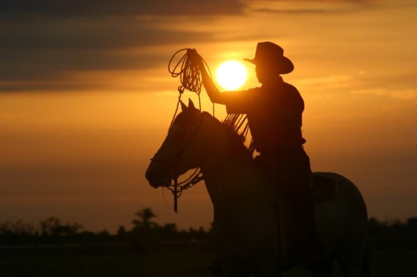 llanero faena