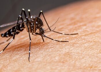 En lo corrido del año Casanare ha reportado más de 3.500 casos de Dengue