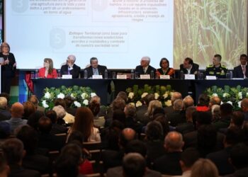 Minagricultura apoyará al sector arrocero con infraestructura de almacenamiento y secamiento