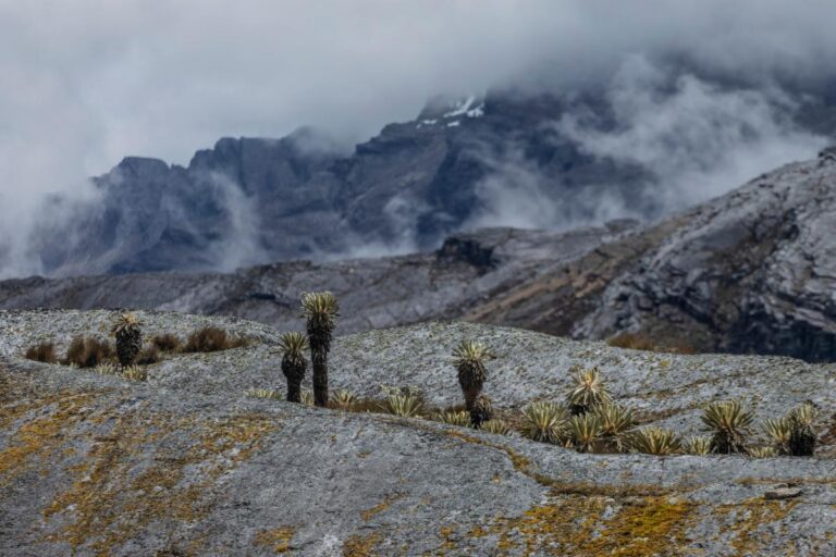 Páramos, el país de las nieblas,
