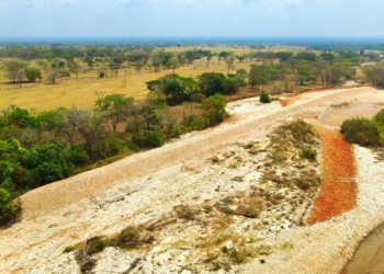 Intervienen el río Guachiría en Paz de Ariporo, con canalización y jarillón de 300 metros