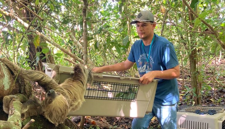 RESCATE FAUNA SILVESTRE (2)