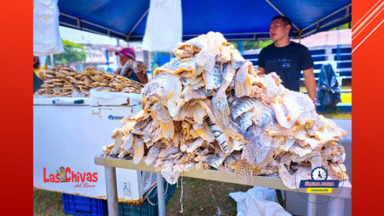 Festival del pescado en Yopal