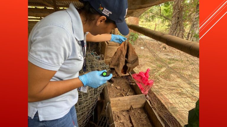 Prevención del chagas en Yopal
