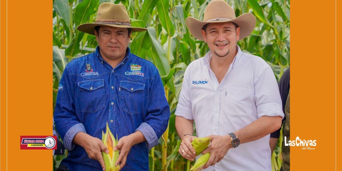 En Casanare la agricultura, el comercio y el turismo están siendo productivos