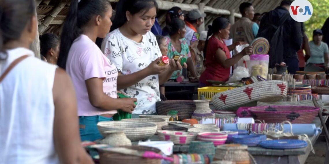 Los pueblos indígenas del Amazonas colombiano y cómo se enfrentan al cambio climático