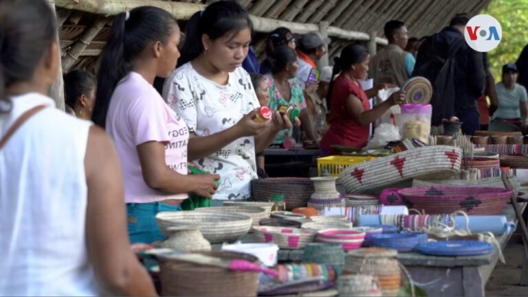 Mujeres de la etnia indígena Puinave, de Guainía, Colombia, donde la mayoría de la población es indígena. [Foto: Federico Buelvas, VOA]