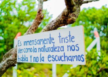 En SENA  Paz de Ariporo estrenaron sendero ecológico de mil metros