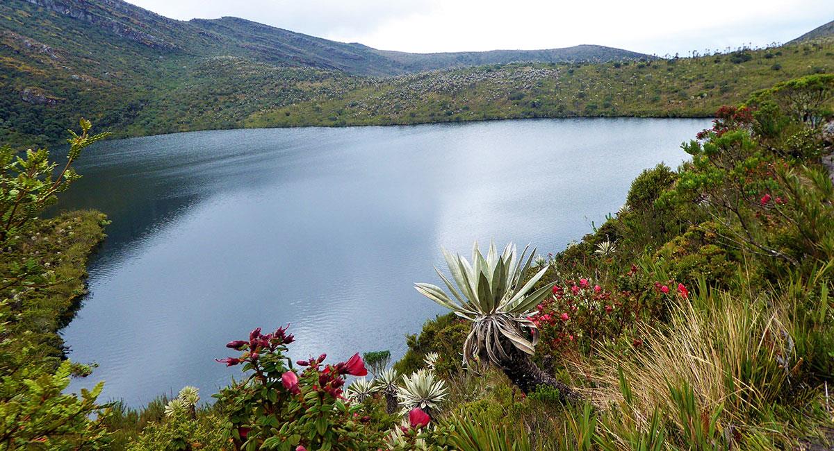 parque-nacional-natural-chingaza-850162