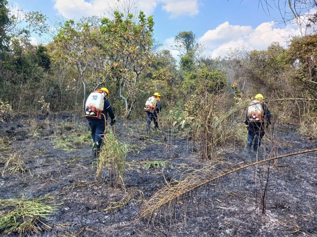 Incendio forestal Casanare