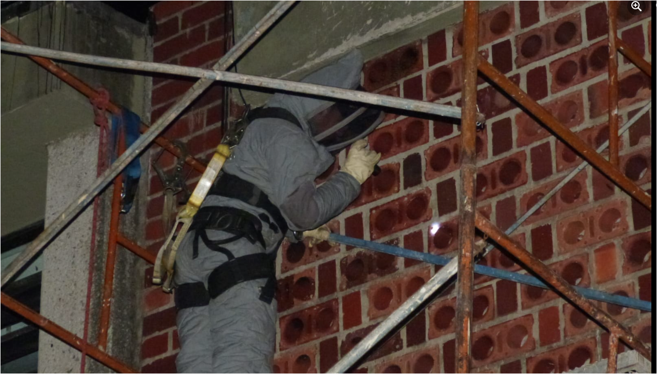 Bomberos controla abejas Unitrópico