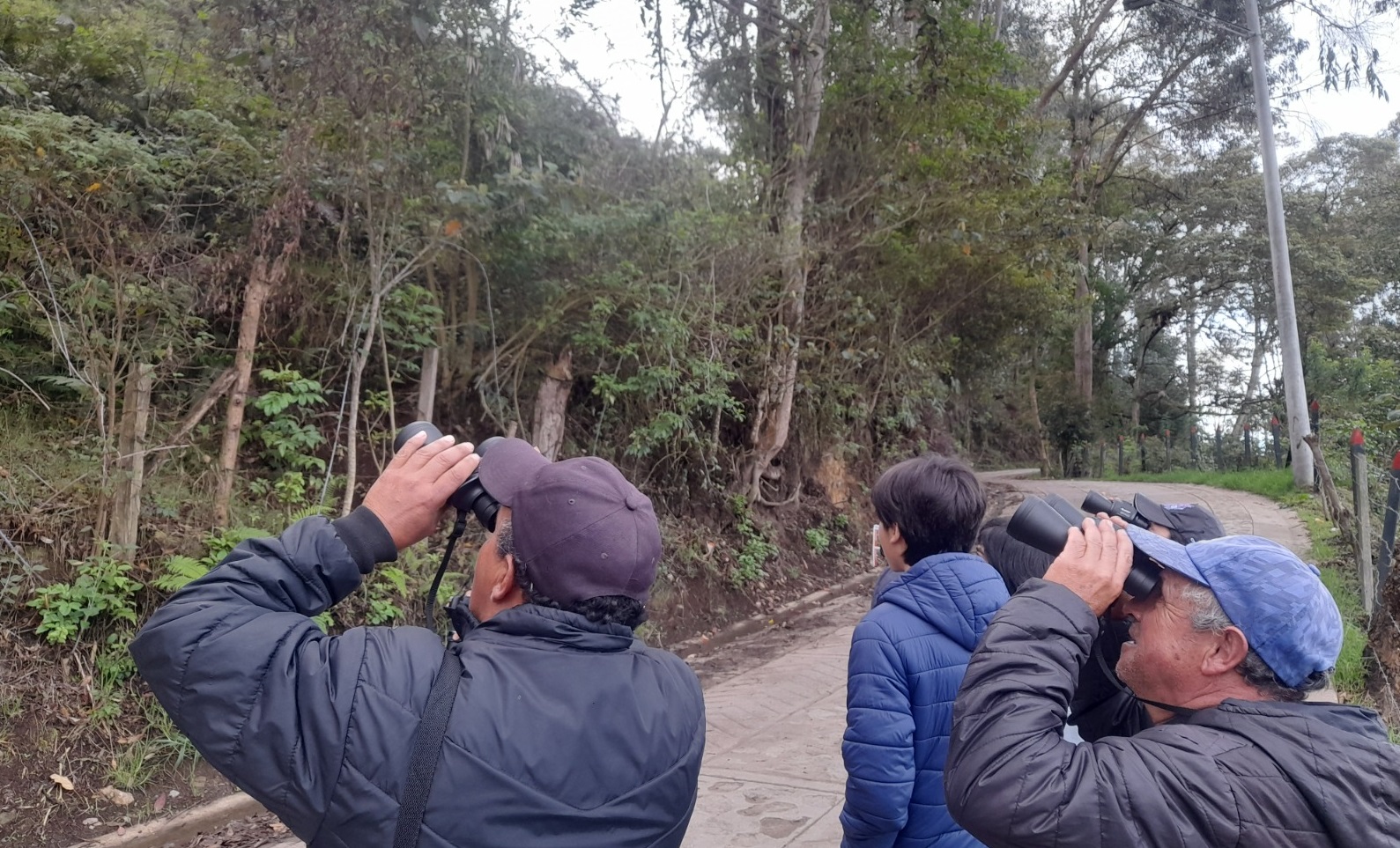 Avistamiento de aves ENEL