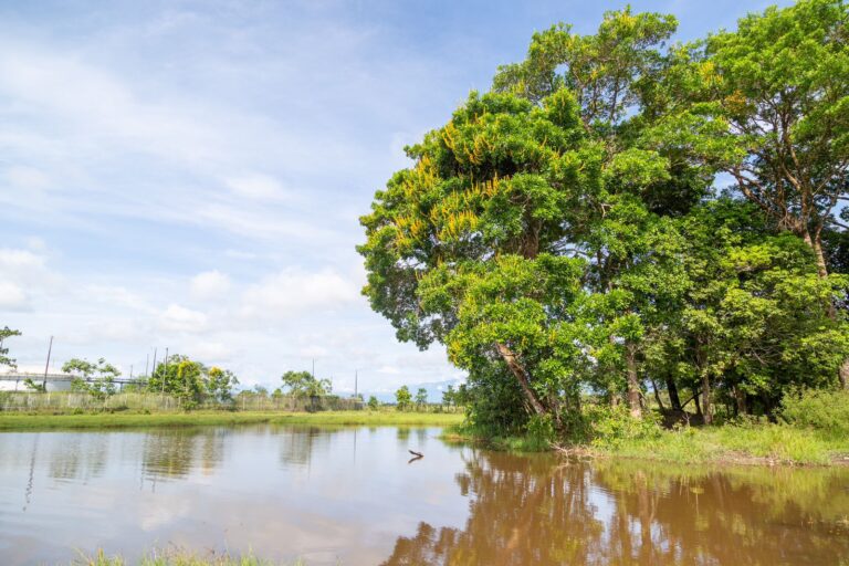 Ecoreservas Casanare