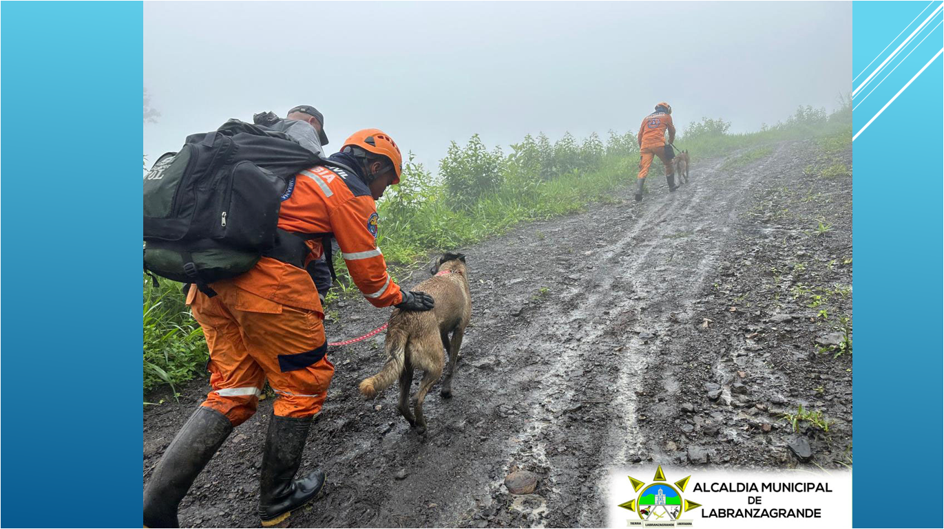 Con ayuda de perros buscan a desaparecidos