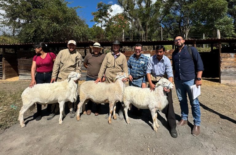 Gobernacion-de-Boyaca-entrego-ovinos-a-la-Asociacion-de-Productores-de-P-scaled