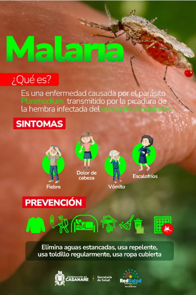 Chivas-del-Llano-malaria-400x600