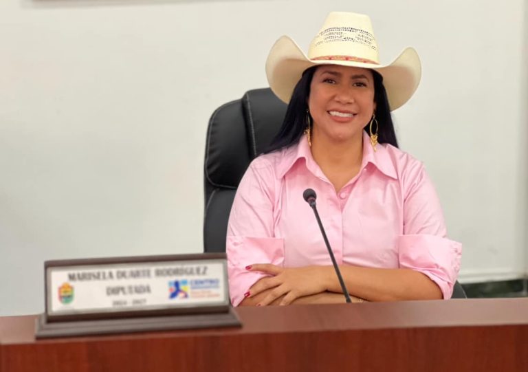 Marisela Duarte Rodríguez, diputada