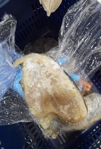 Pescado en mal estado_1