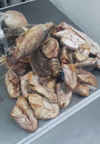Pescado en mal estado_4