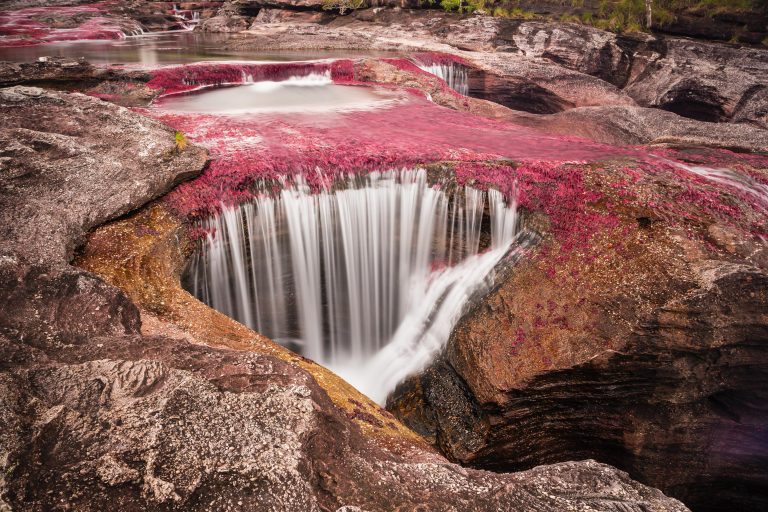 Caño Cristales 2