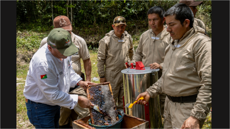 Pagios ambientales Casanare